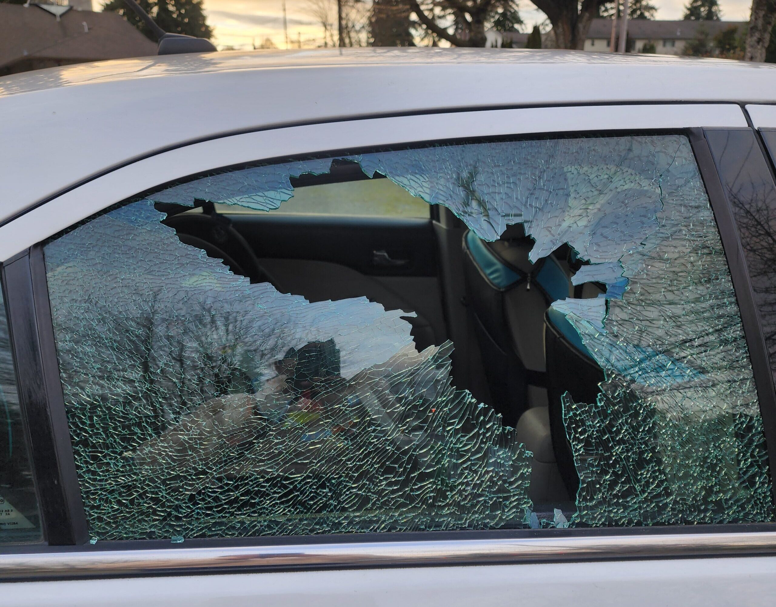 Door Glass Installation & Repair Situations in Lake Stevens