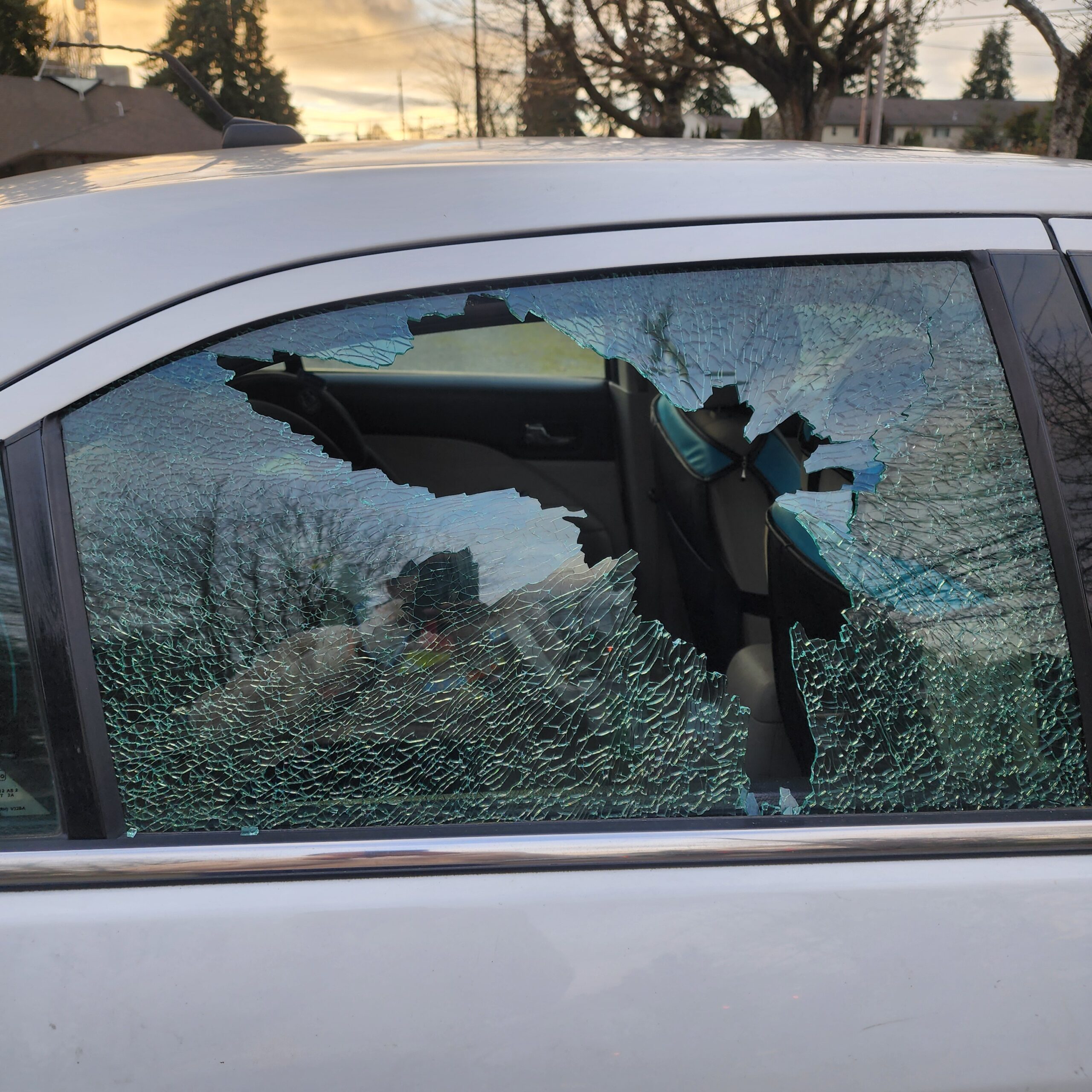 Door Glass Installation & Repair Situations in Mill Creek