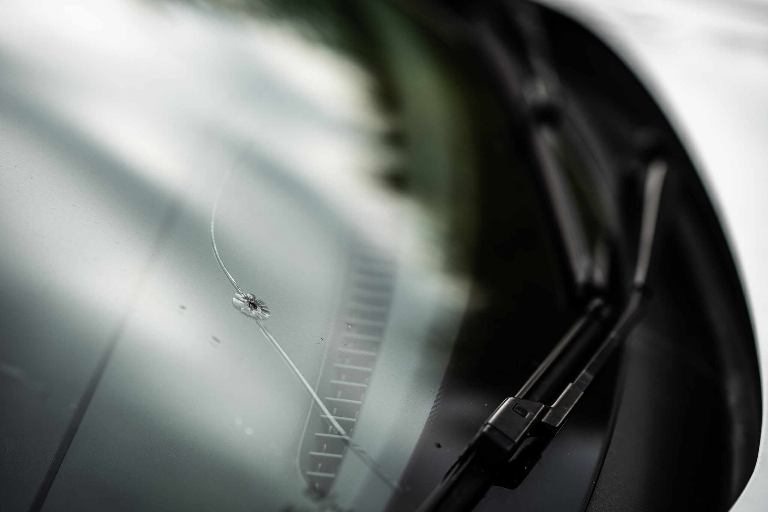 Auto Rock Chip Repairs in Bothell