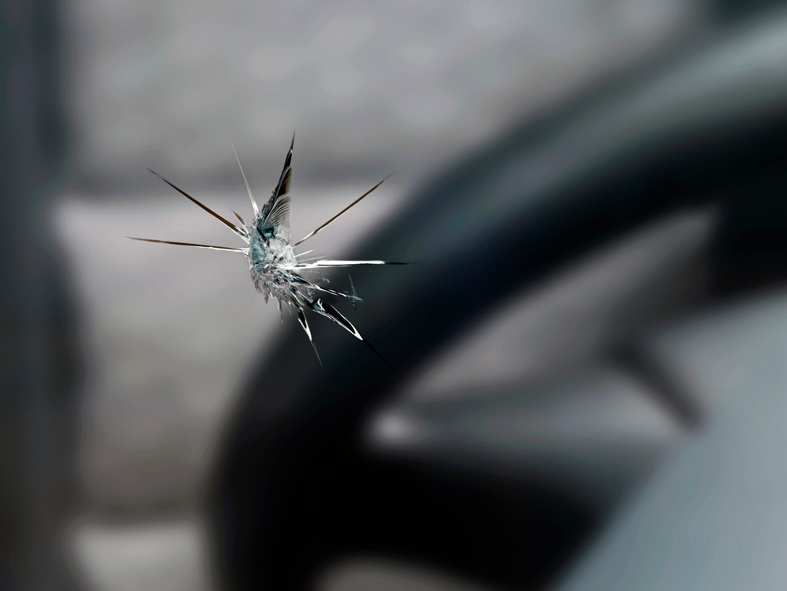 Rock Chip Situations We Repair in Lynnwood
