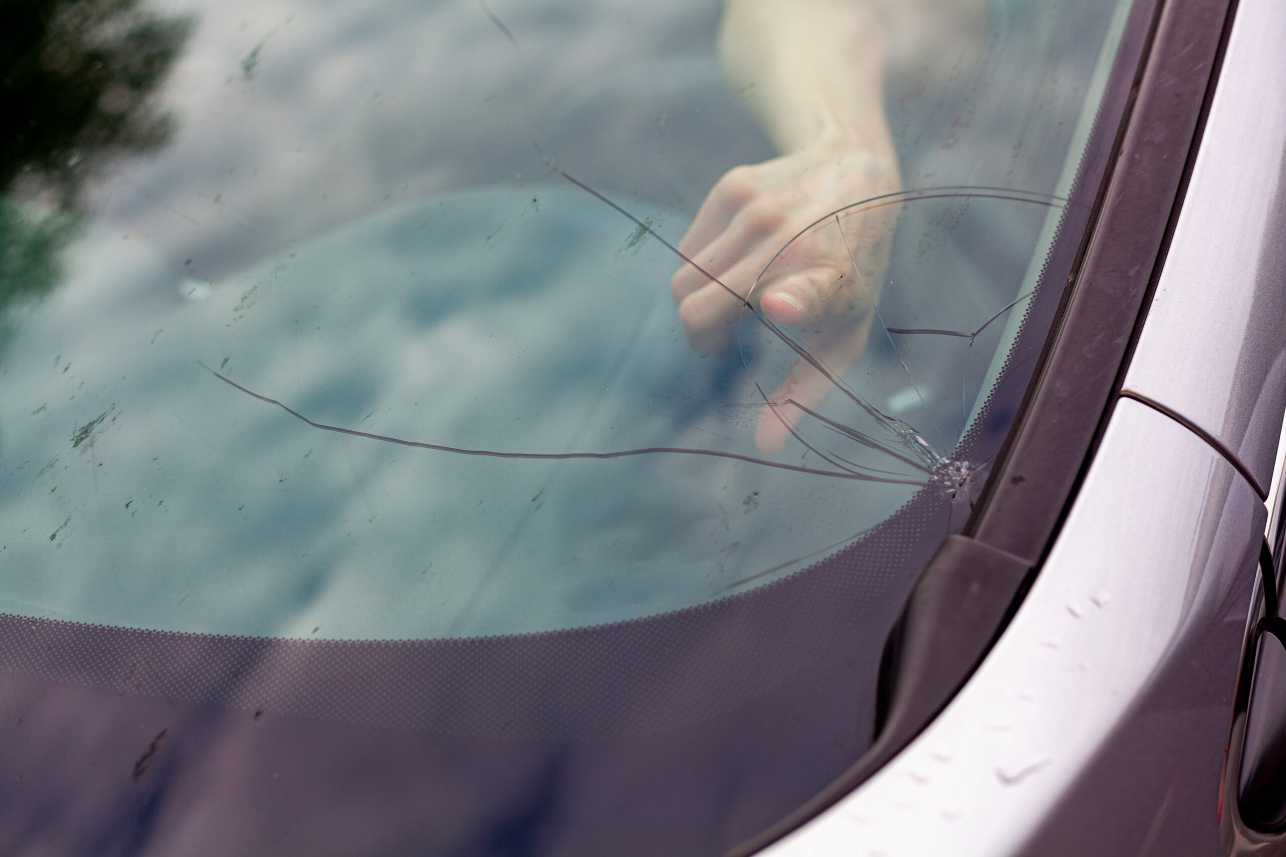 Roof Glass Situations We Handle in Lake Stevens