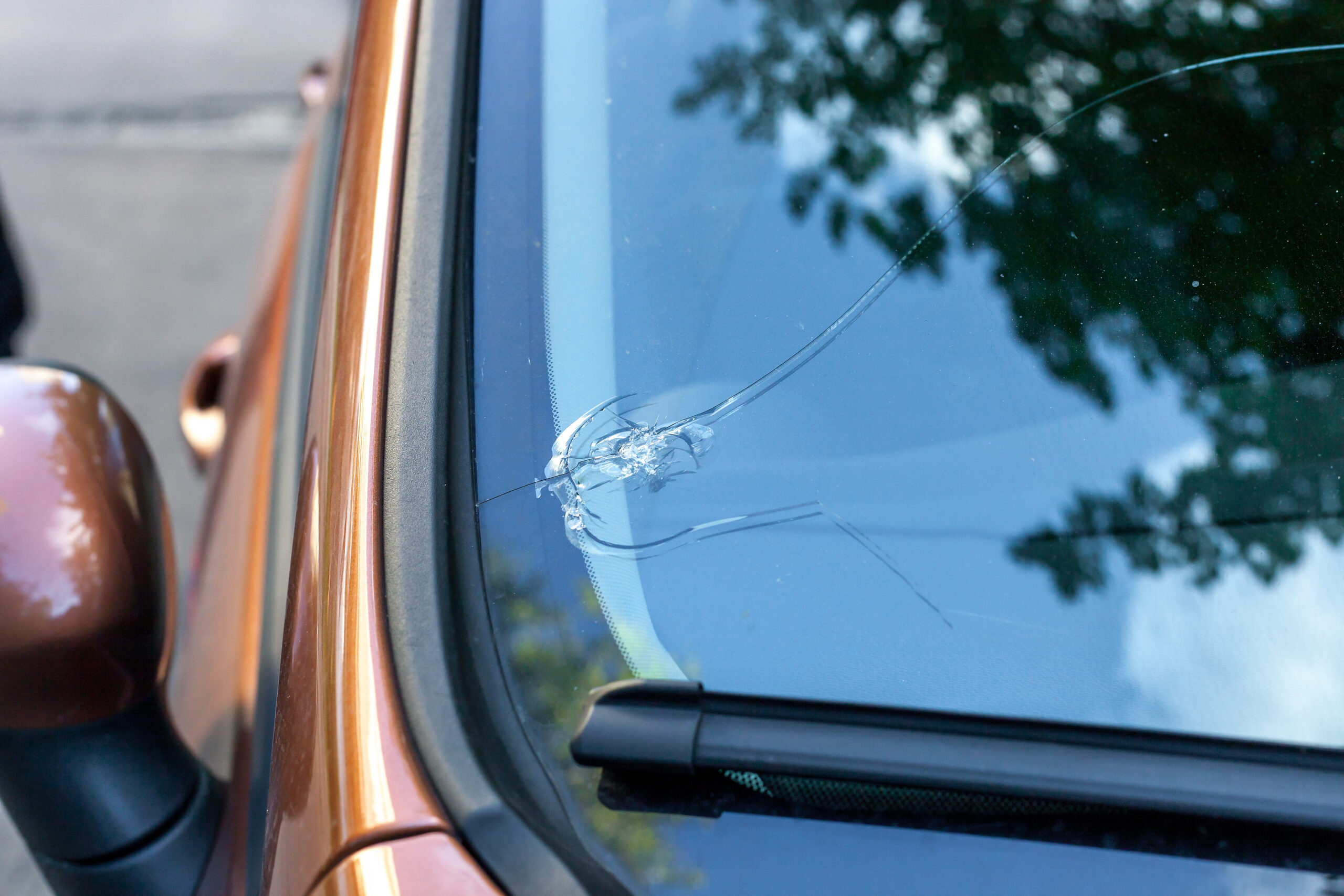 Rock Chip Situations We Repair in Woodinville